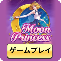 Play Moon Princess