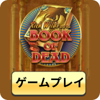 Play Book of Dead